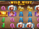 Wild West Gold