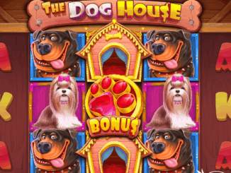 The Dog House
